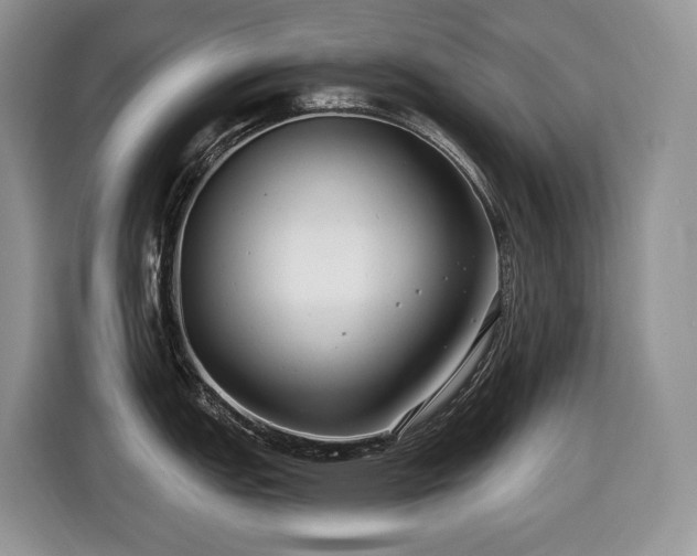 X0000116431151200912081519