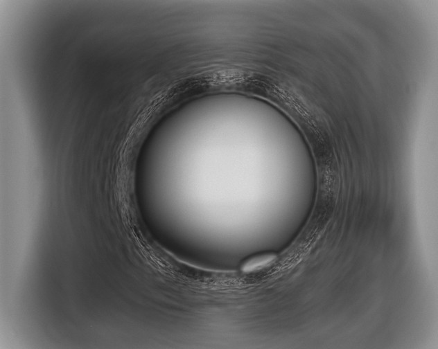 X0000116431153200912081518