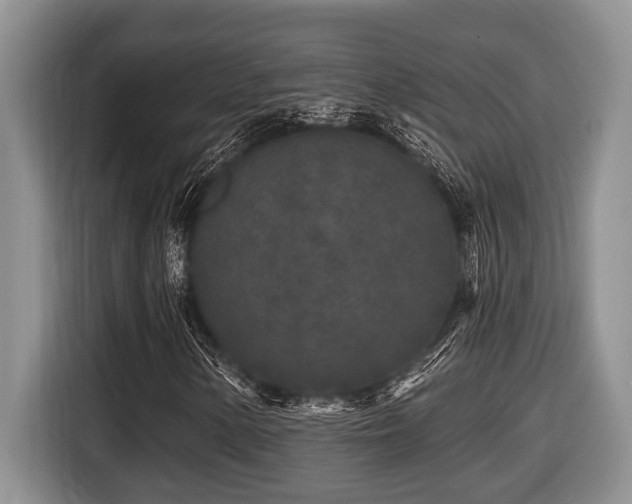 X0000116431154200912081518