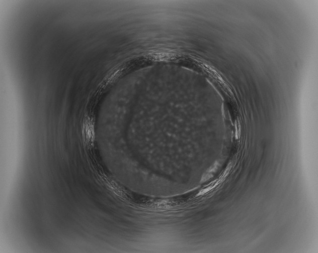 X0000116431155200912081518