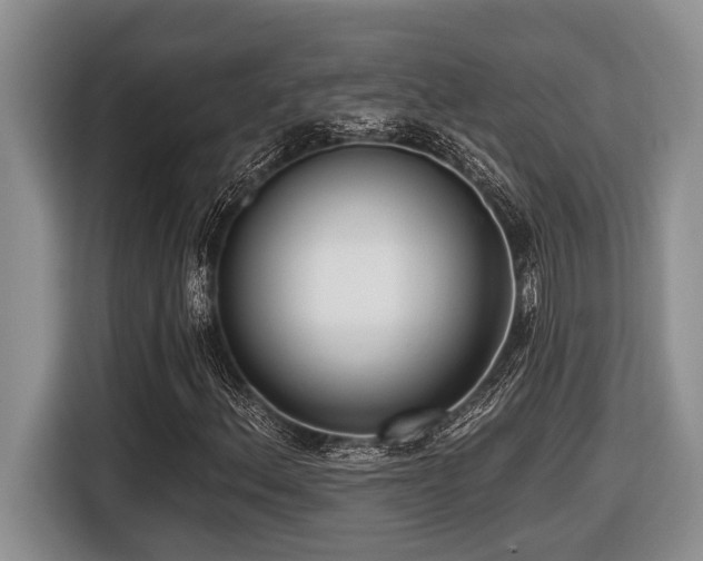 X0000116431156200912081518