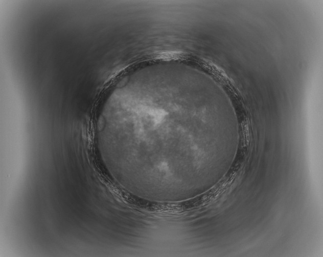 X0000116431158200912081518