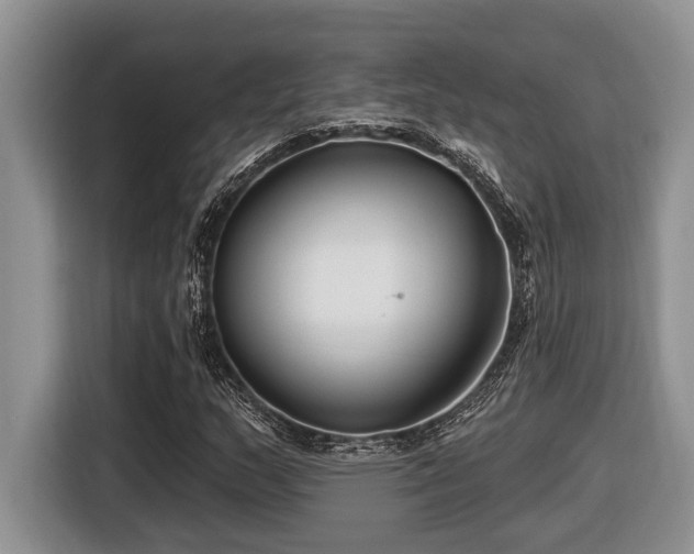 X0000116431159200912081518