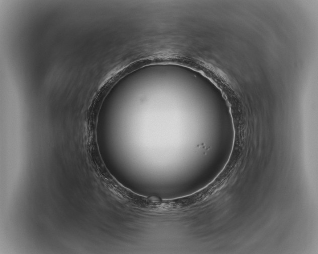 X0000116431160200912081518