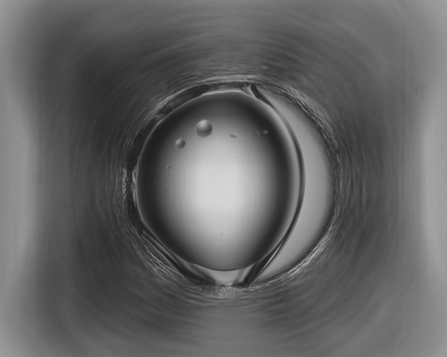 X0000116431161200912081518