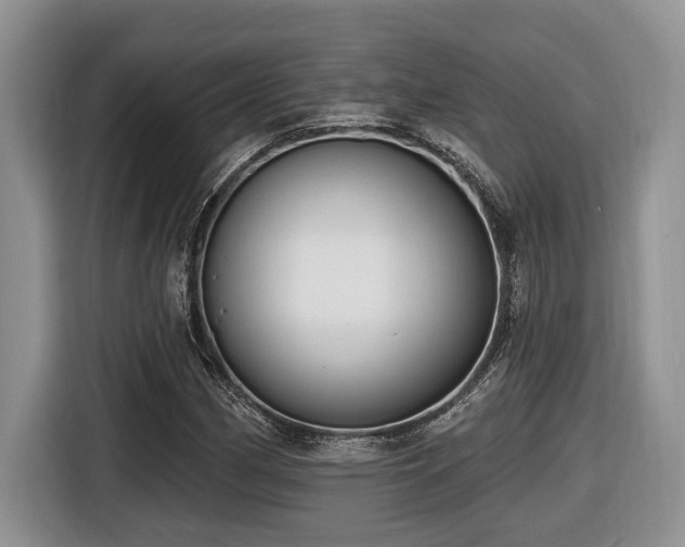 X0000116431162200912081518