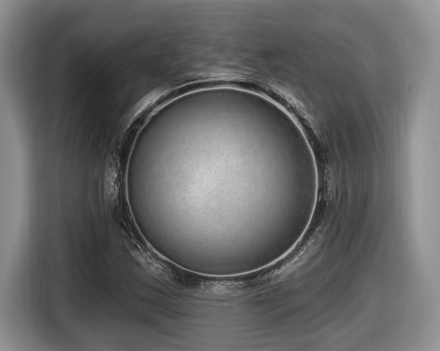X0000116431163200912081518