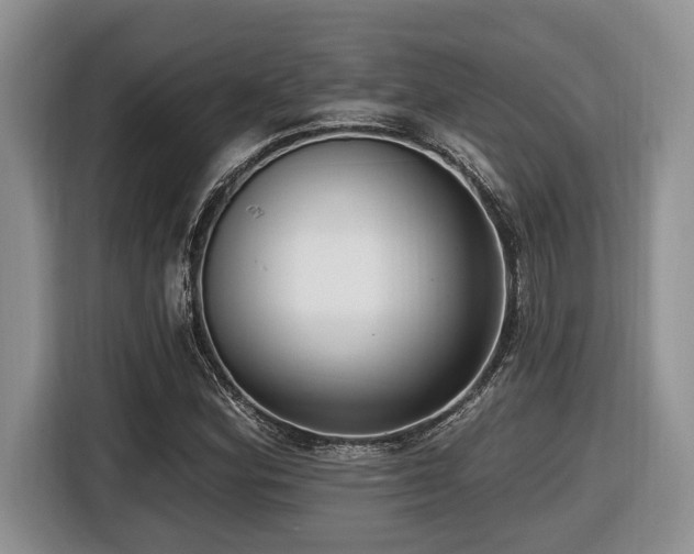 X0000116431164200912081518