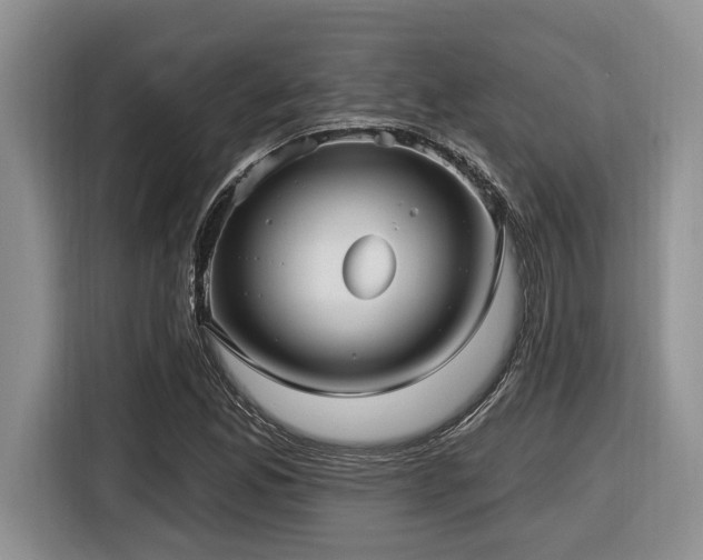 X0000116431165200912081518