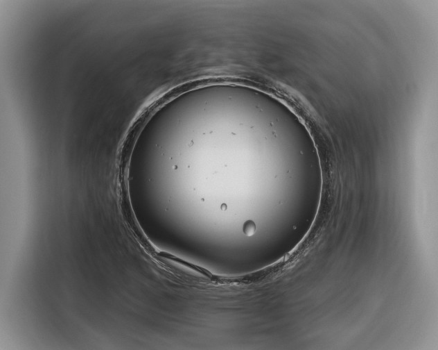X0000116431168200912081518