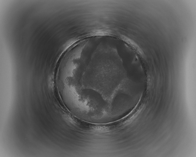 X0000116431170200912081518