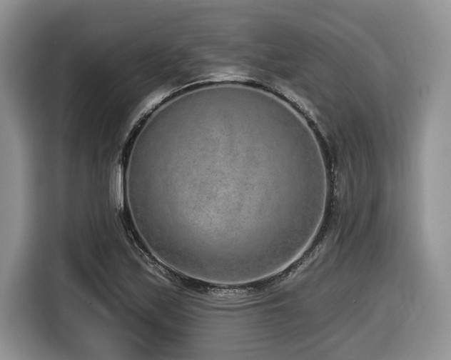X0000116431171200912081518