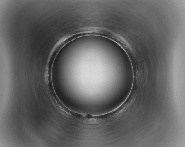 X0000116431172200912081518
