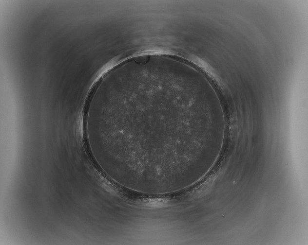 X0000116431173200912081518