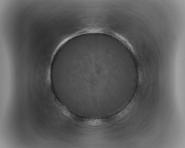 X0000116431174200912081518