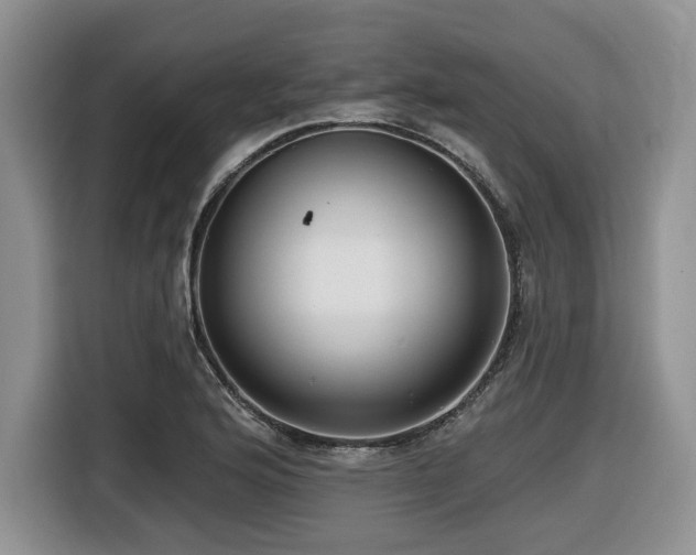 X0000116431176200912081518
