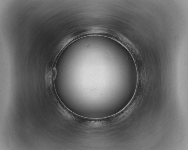 X0000116431177200912081518
