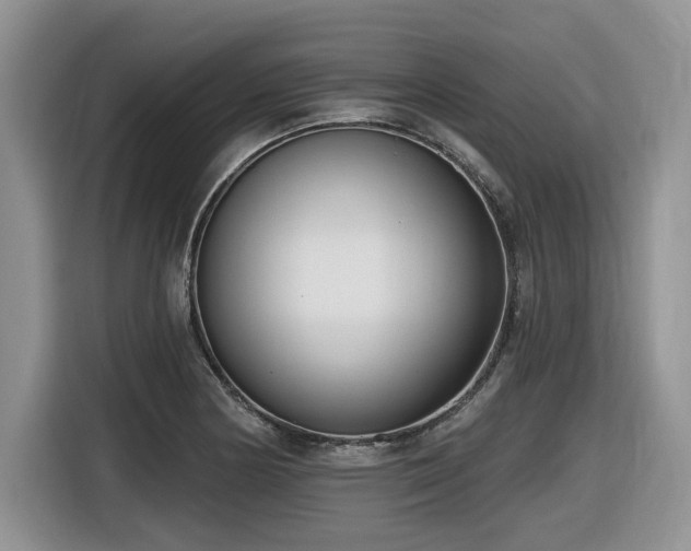 X0000116431178200912081518