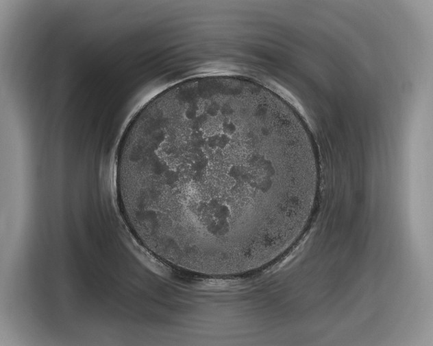 X0000116431179200912081518