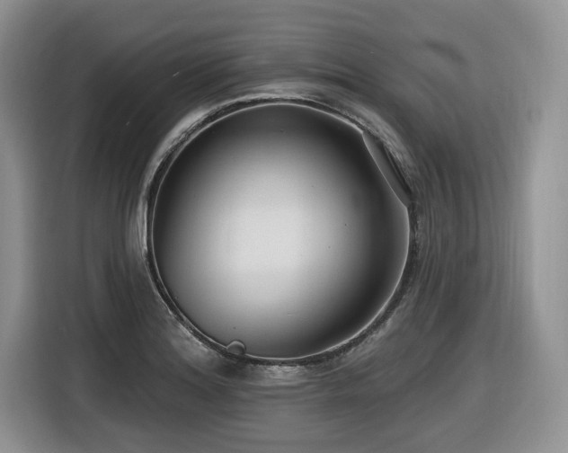 X0000116431180200912081518
