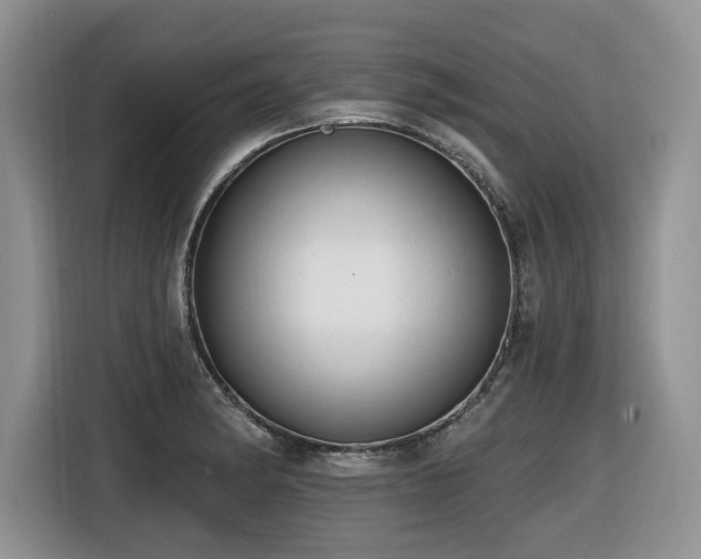 X0000116431182200912081518