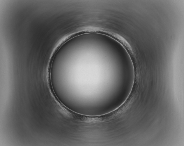 X0000116431183200912081518