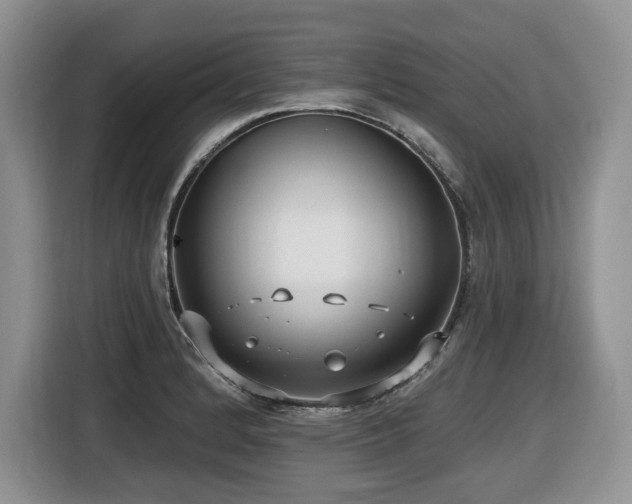 X0000116431184200912081518