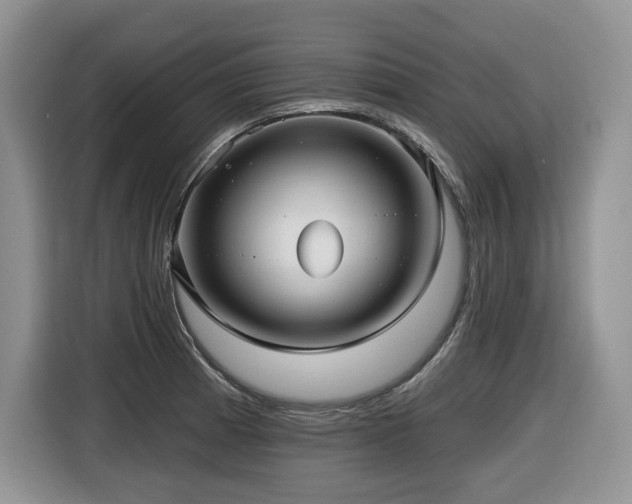 X0000116431185200912081518