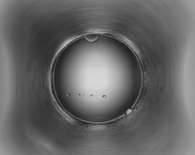 X0000116431187200912081518