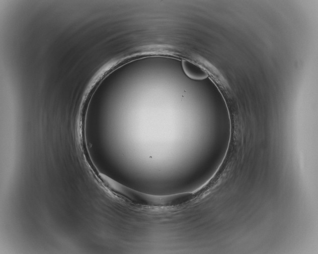 X0000116431188200912081518