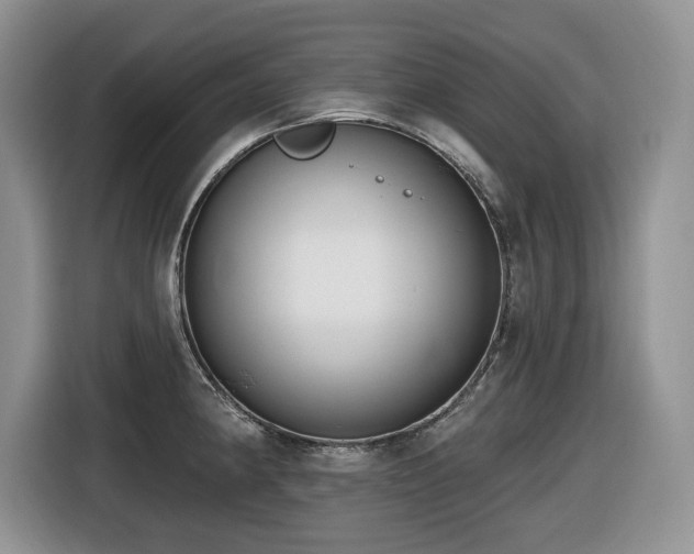 X0000116431190200912081518