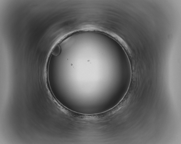 X0000116431191200912081518