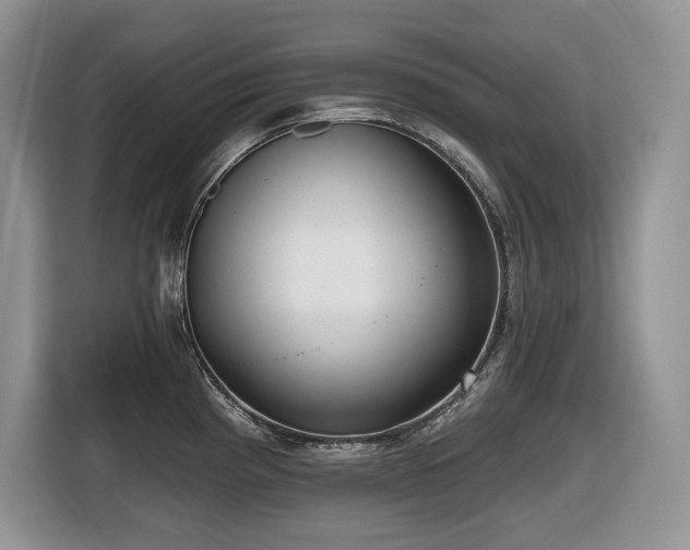 X0000116431193200912081518