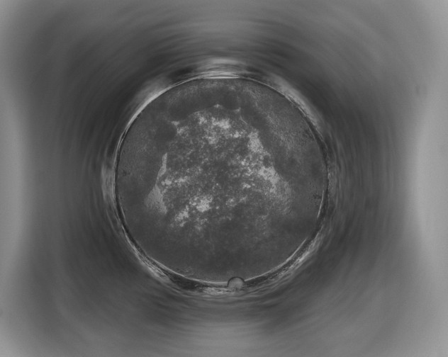 X0000116431194200912081518