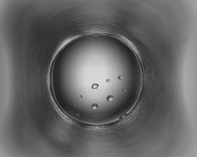 X0000116431195200912081518