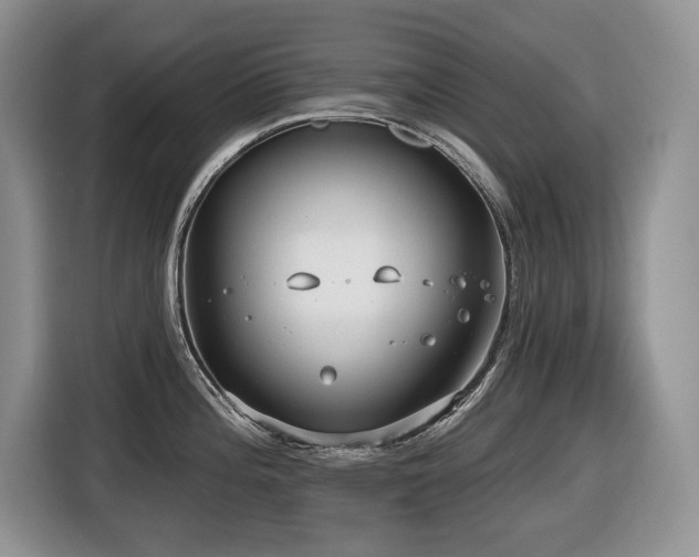 X0000116431196200912081518