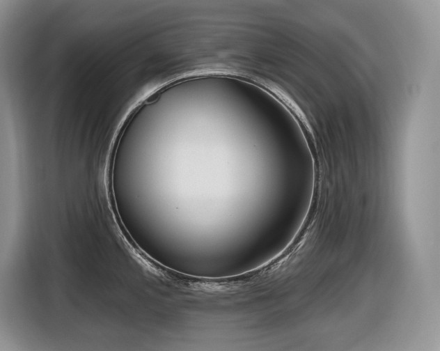 X0000116431197200912081518