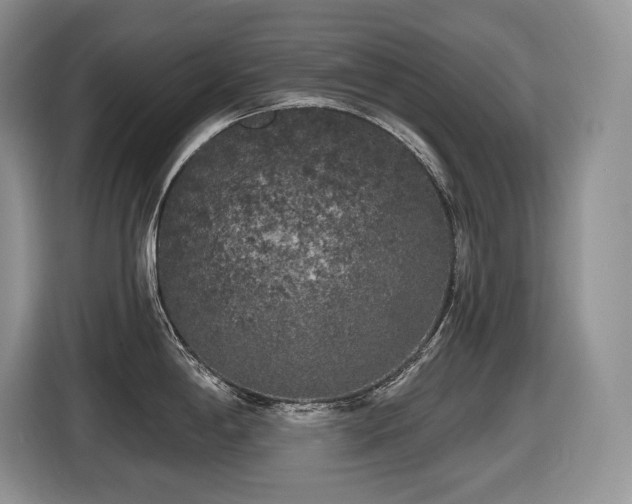 X0000116431198200912081518
