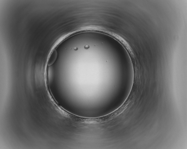 X0000116431199200912081518