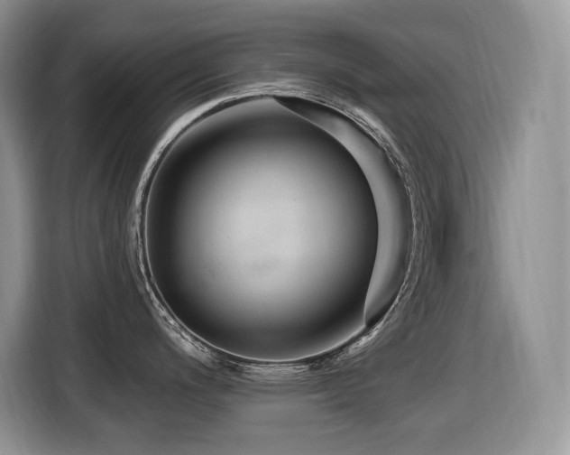 X0000116431200200912081518