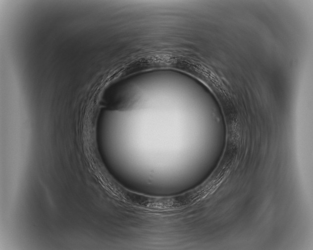 X0000116431201200912081517