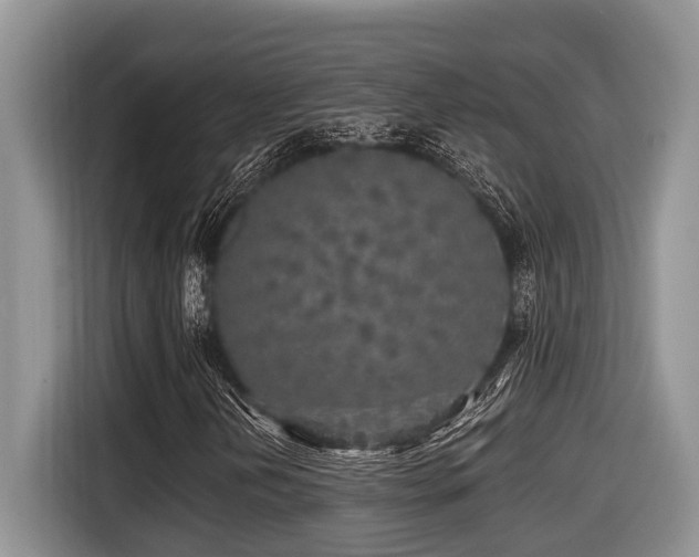 X0000116431202200912081517