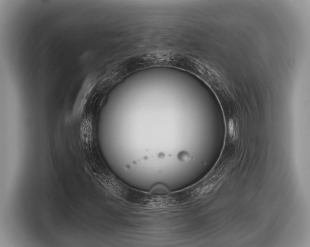 X0000116431203200912081517