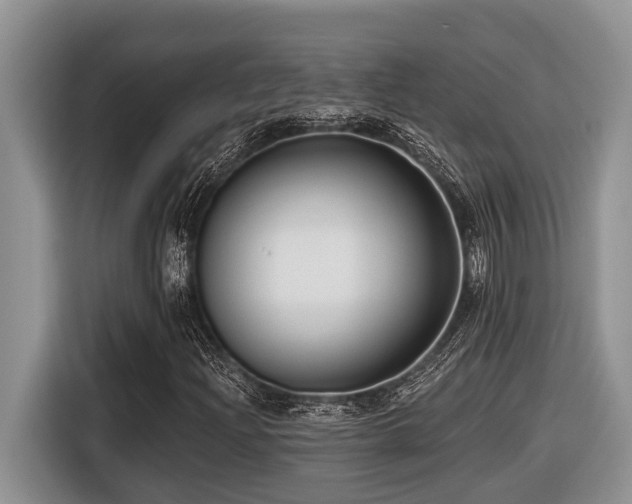X0000116431204200912081517