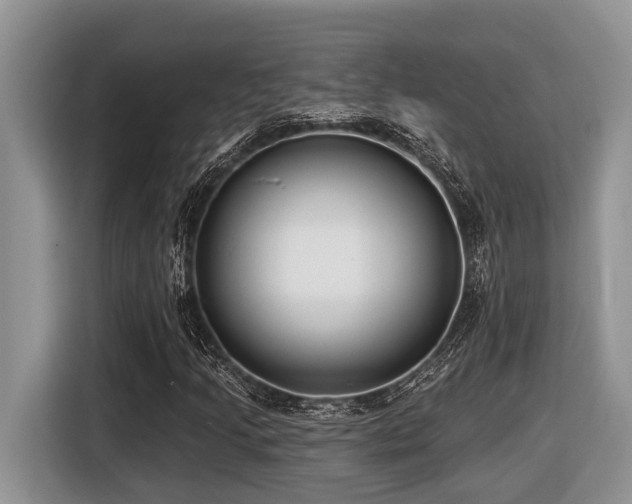 X0000116431205200912081517