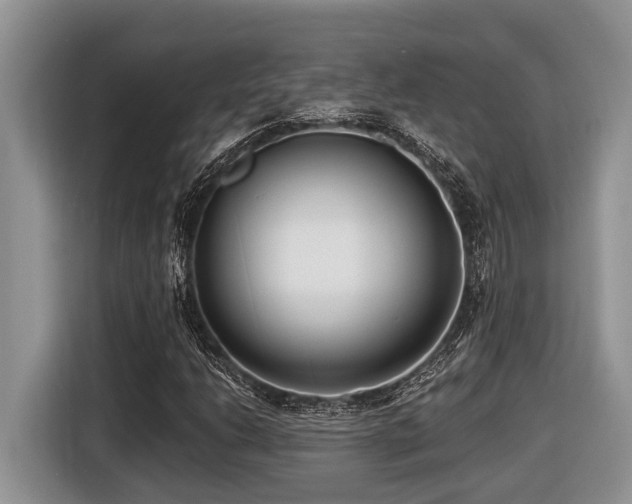 X0000116431206200912081517