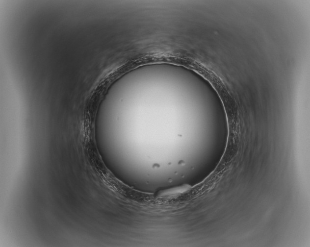 X0000116431207200912081517