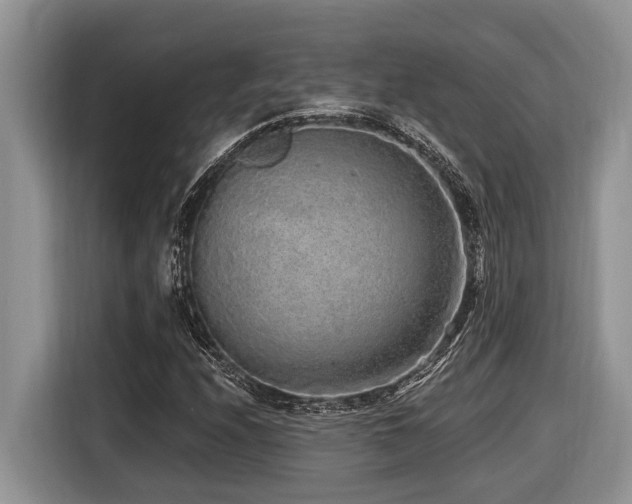 X0000116431208200912081517