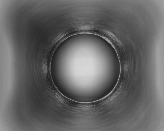 X0000116431209200912081517