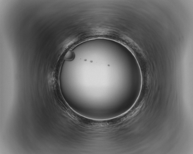 X0000116431210200912081517